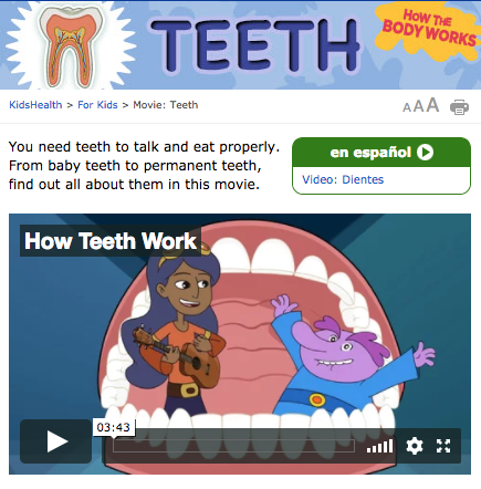 How the Body Works—Teeth Instructional Video