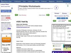 Fossil Dig Lesson Plan