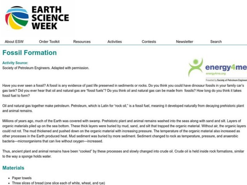 Fossil Formation Lesson Plan