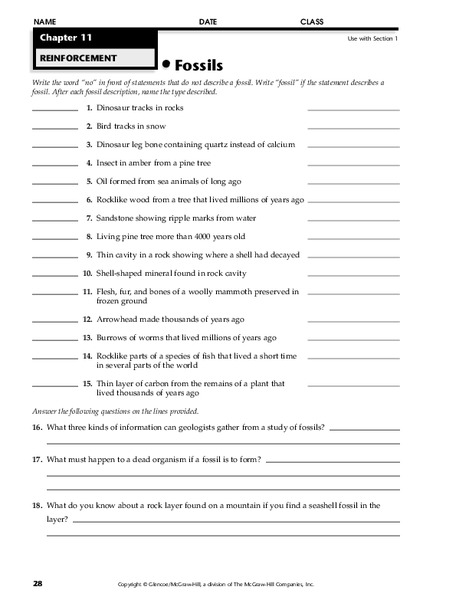 Fossils Worksheet