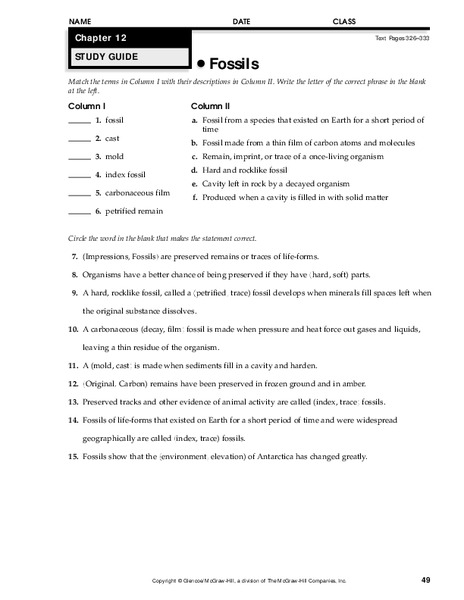 Fossils Worksheet