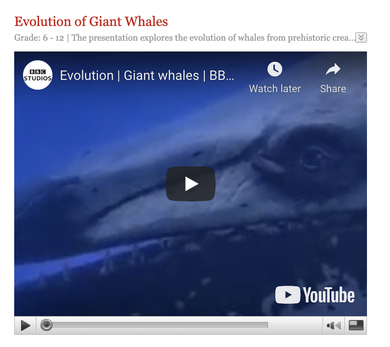 Evolution of Giant Whales Instructional Video