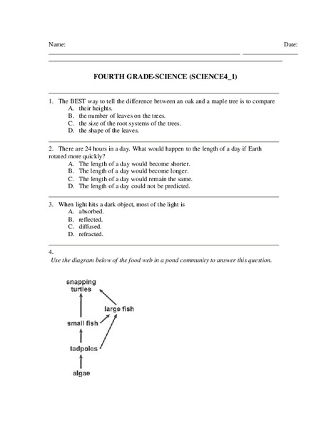 Fourth Grade Science Worksheet