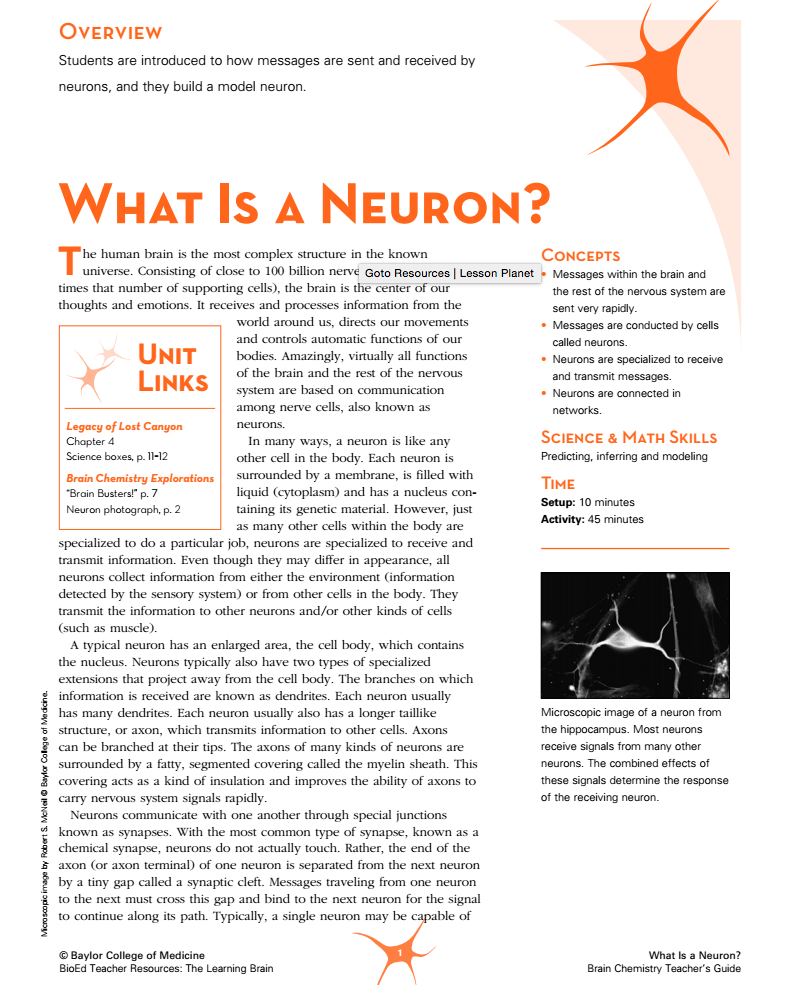 What Is a Neuron? Lesson Plan