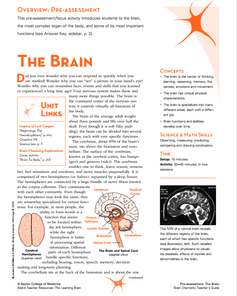 Pre-Assessment: The Brain Lesson Plan