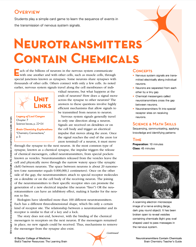Neurotransmitters Contain Chemicals Lesson Plan