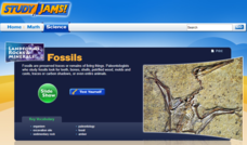 Study Jams! Fossils Interactive