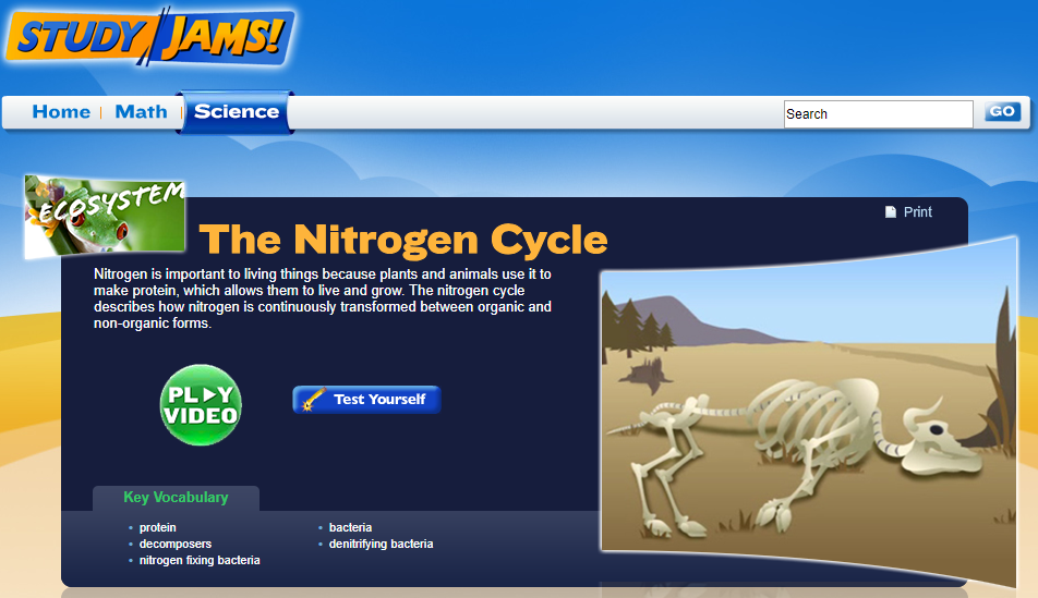 Study Jams! The Nitrogen Cycle Interactive