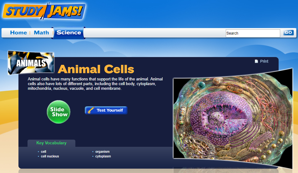 Study Jams! Animal Cells Interactive