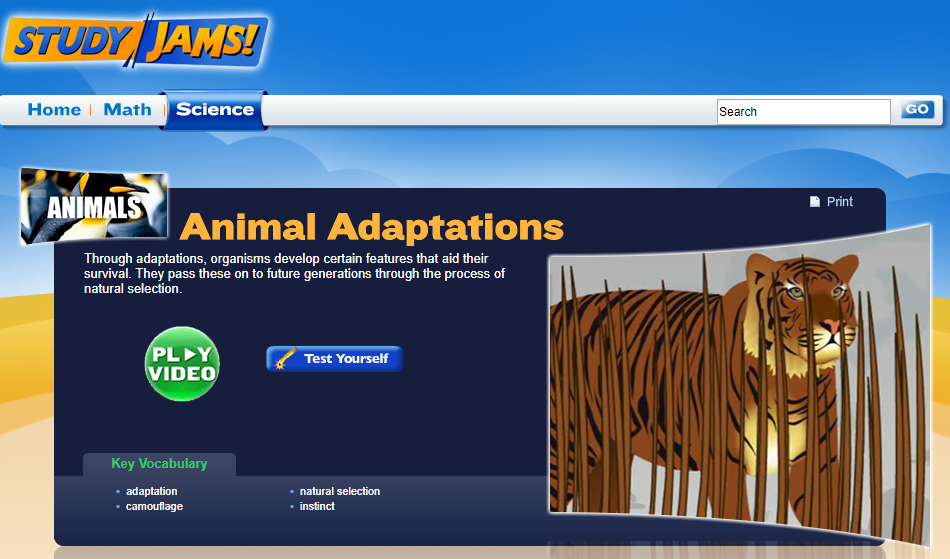 Study Jams! Animal Adaptations Interactive
