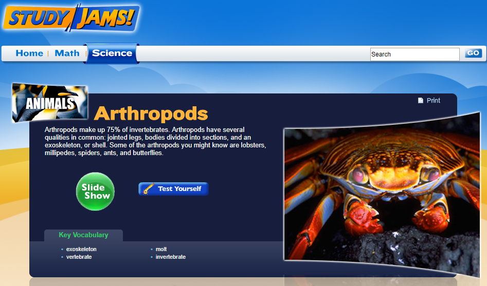 Study Jams! Arthropods Interactive