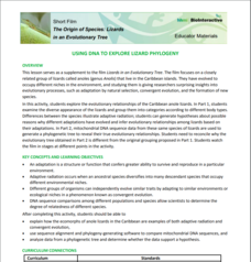 Using DNA to Explore Lizard Phylogeny Activity