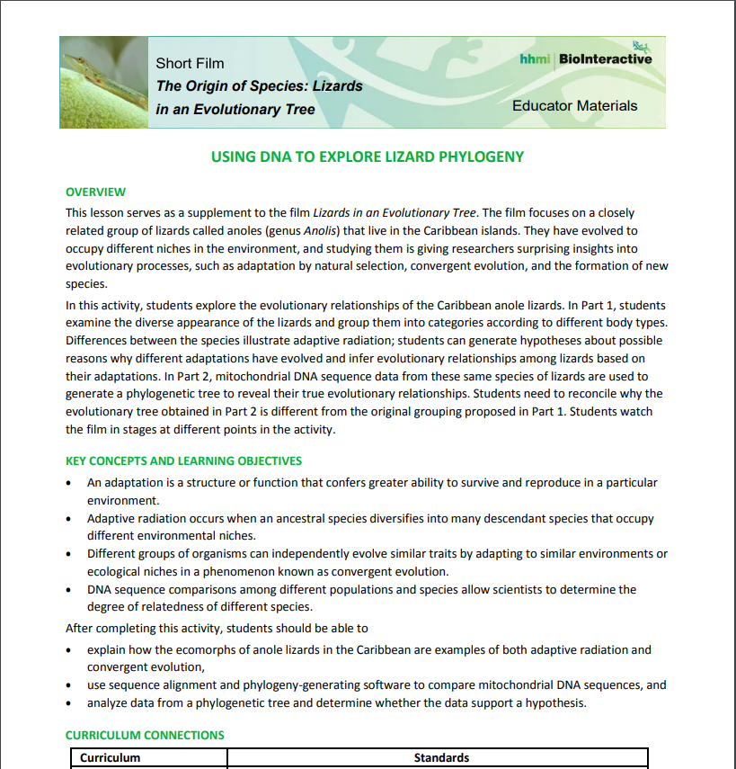 Using DNA to Explore Lizard Phylogeny Activity