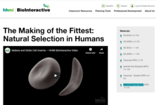 The Making of the Fittest: Natural Selection in Humans Lesson Plan