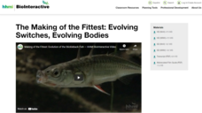 The Making of the Fittest: Evolving Switches, Evolving Bodies Lesson Plan