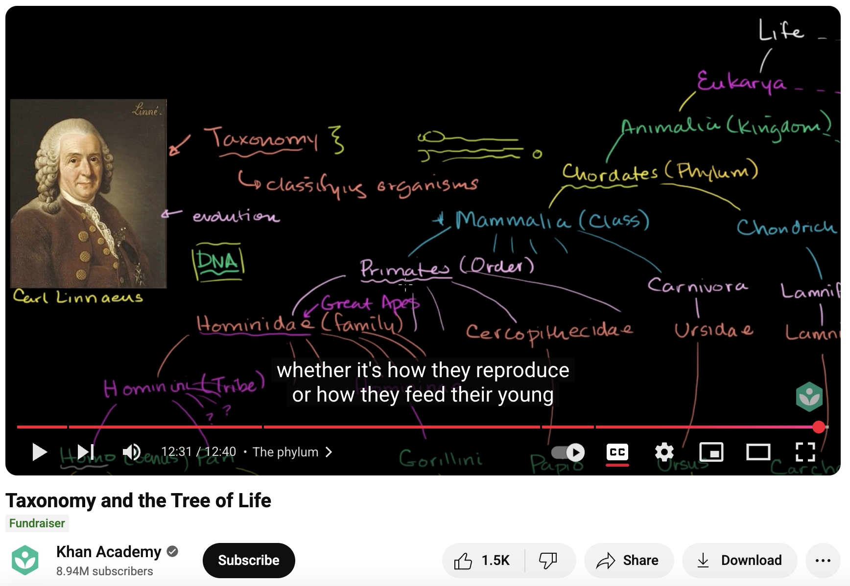 Taxonomy and the Tree of Life Instructional Video