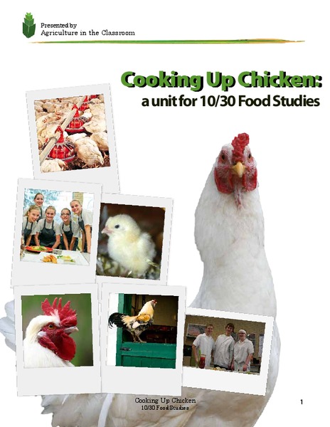 Cooking Up Chicken Unit Plan