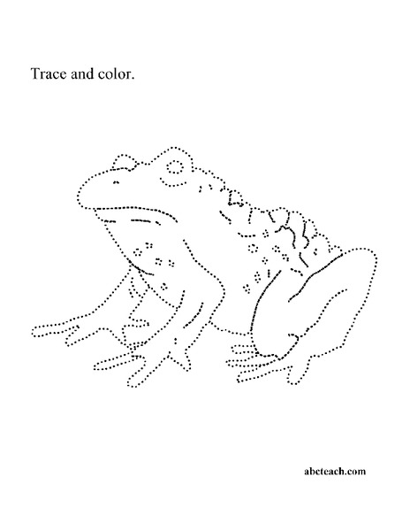 Frog Worksheet