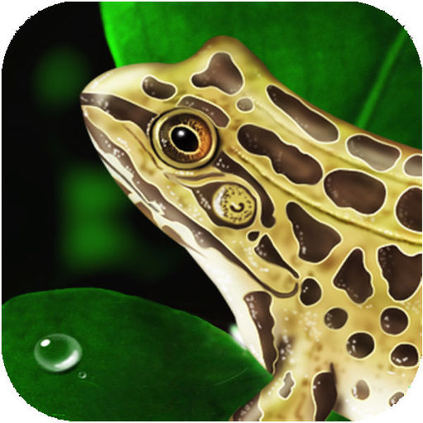 Frog Dissection App