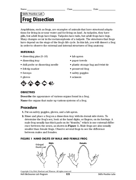 Frog Dissection Worksheet