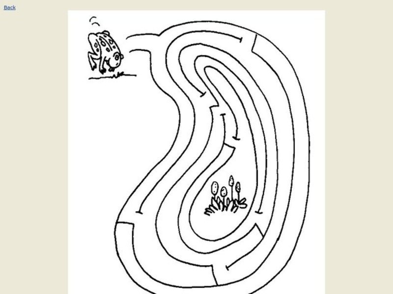 Frog Maze Worksheet