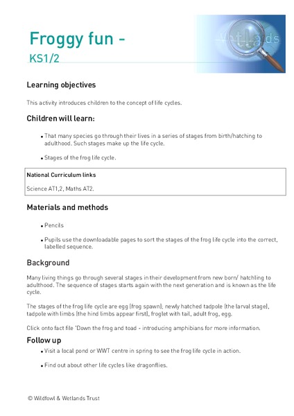 Froggy Fun Lesson Plan