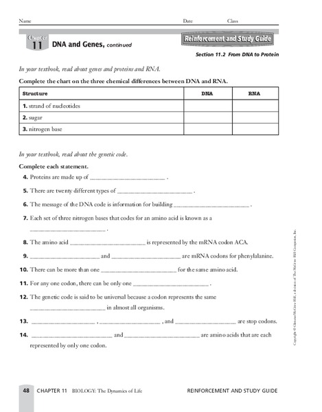 From DNA to Protein Worksheet