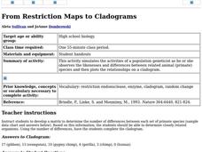 From Restriction Maps to Cladograms Lesson Plan