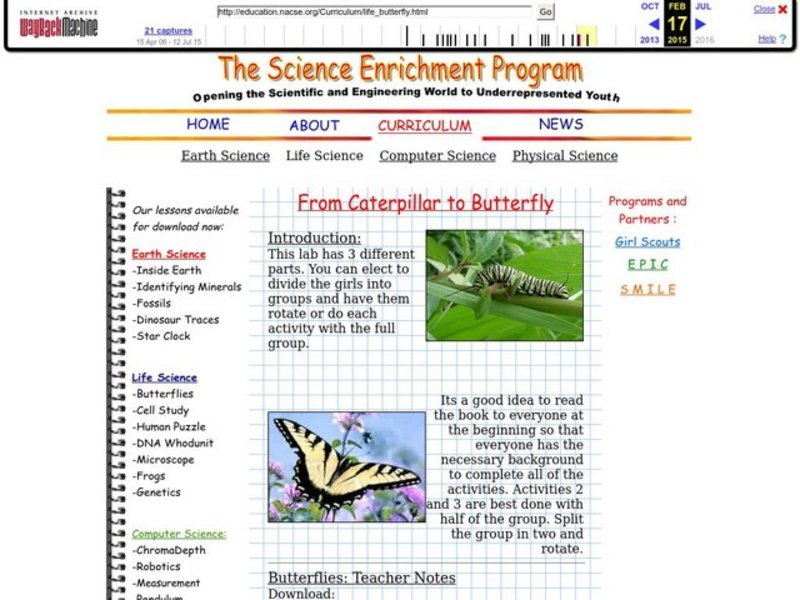 From Caterpillar to Butterfly Lesson Plan