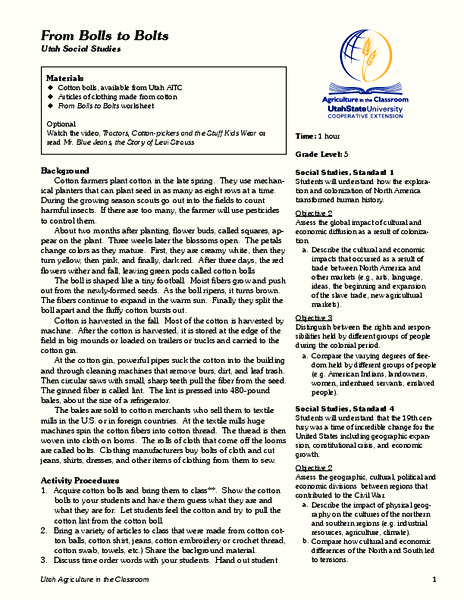 From Bolls to Bolts Lesson Plan