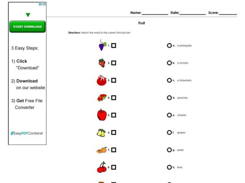Fruit Worksheet