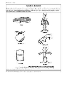 Function Junction Worksheet