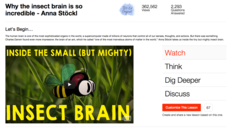 Why the Insect Brain Is So Incredible Instructional Video