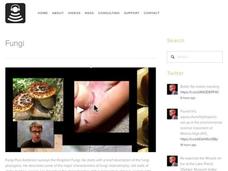 Fungi Instructional Video