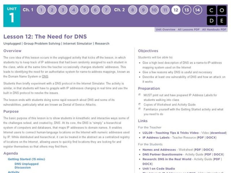 The Need for DNS Lesson Plan