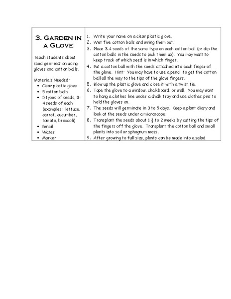 Garden In a Glove Lesson Plan