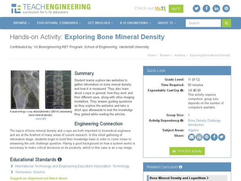 Exploring Bone Mineral Density Activity