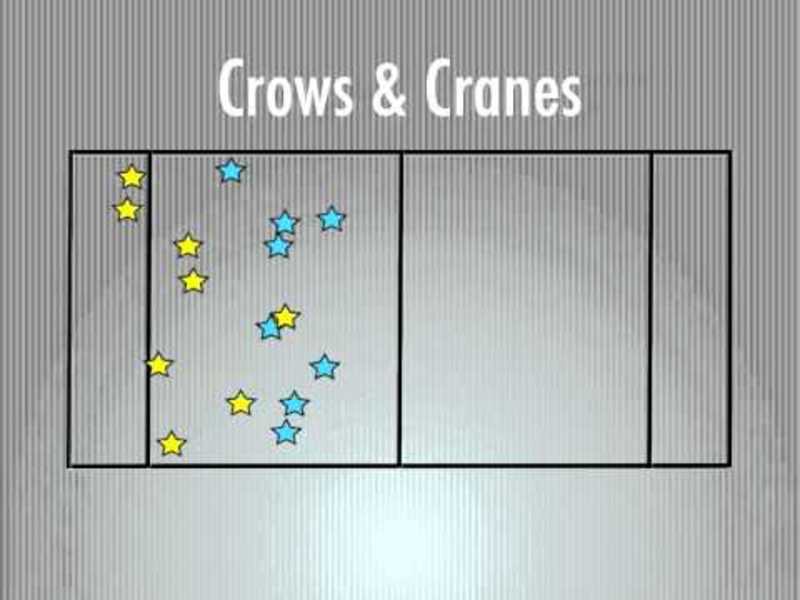 Crows and Cranes Activity