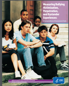 Measuring Bullying Victimization, Perpetration, and Bystander Experiences: A Compendium of Assessment Tools Assessment