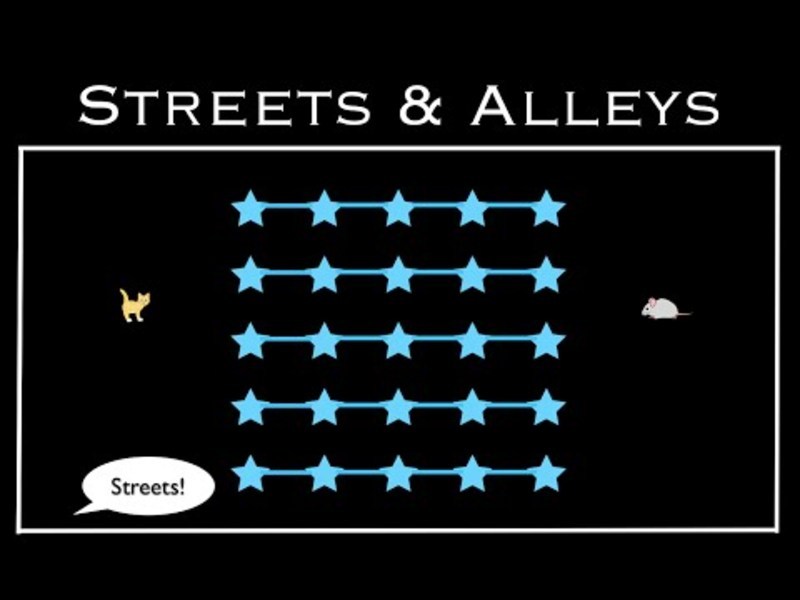 Streets and Alleys Activity
