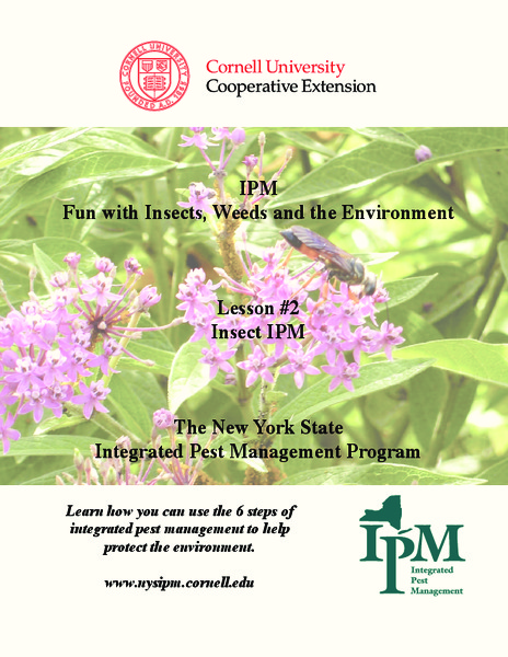 Insect IPM Handout