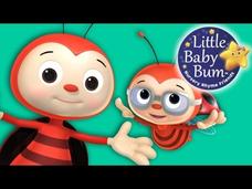 Ladybug Ladybug Instructional Video