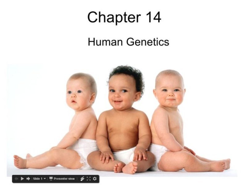 Human Genetics PPT