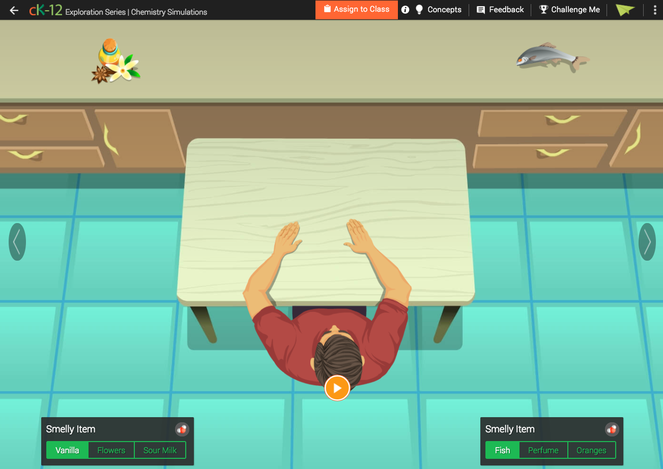 Fish vs. Rose Interactive