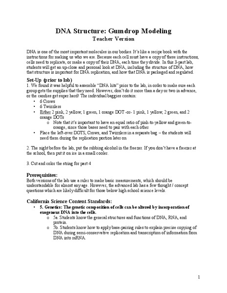 DNA Structure: Gumdrop Modeling Lesson Plan