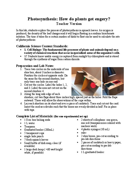 Photosynthesis: How Do Plants Get Energy? Lesson Plan