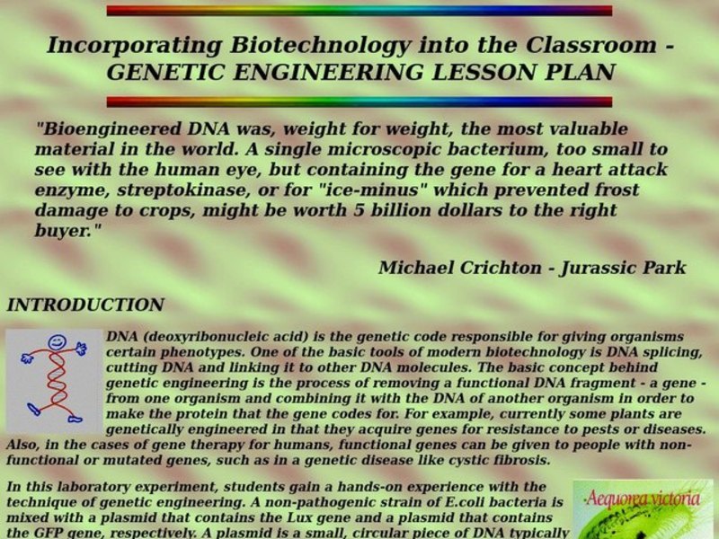 Genetic Engineering Lesson Plan