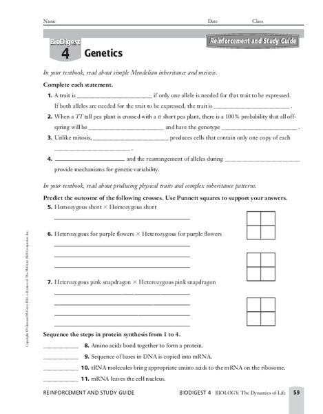 Genetics Worksheet