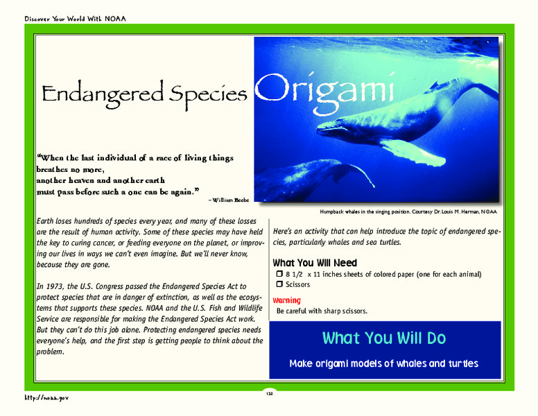 Endangered Species Origami Activity
