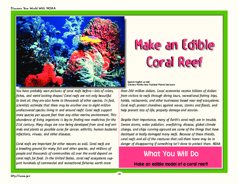 Make an Edible Coral Reef Activity